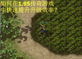如何在1.95传奇游戏中快速提升升级效率？