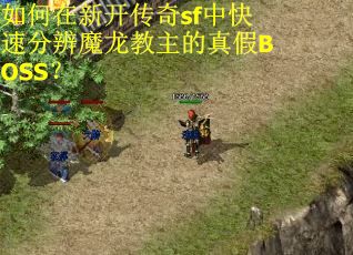 如何在新开传奇sf中快速分辨魔龙教主的真假BOSS？