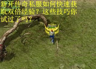 新开传奇私服如何快速获取双倍经验？这些技巧你试过了吗？
