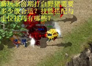 新玩家前期打白野猪需要多少级合适？技能搭配与走位技巧有哪些？