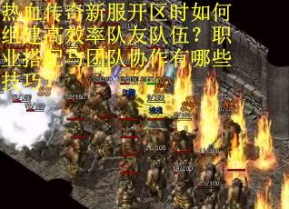 热血传奇新服开区时如何组建高效率队友队伍？职业搭配与团队协作有哪些技巧？